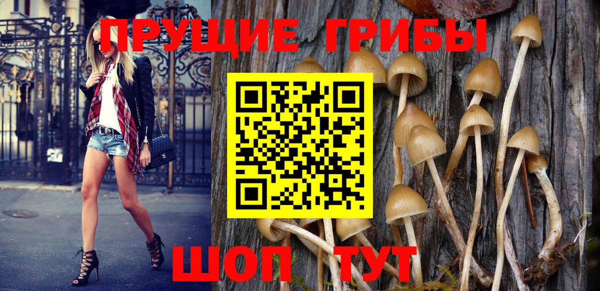 хочу наркоту  Галлюциногенные грибы Magic Shrooms  Вход с VPN  Кировск  Галлюциногенные грибы прущие грибы 